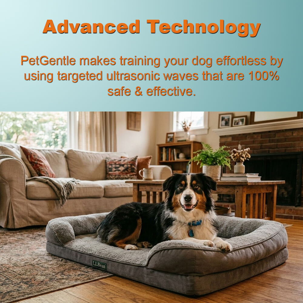 PetGentle image
