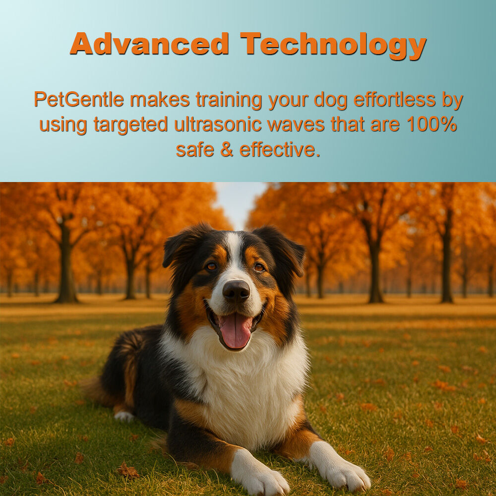 PetGentle image